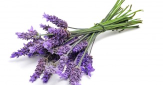 recette-parfum-floral