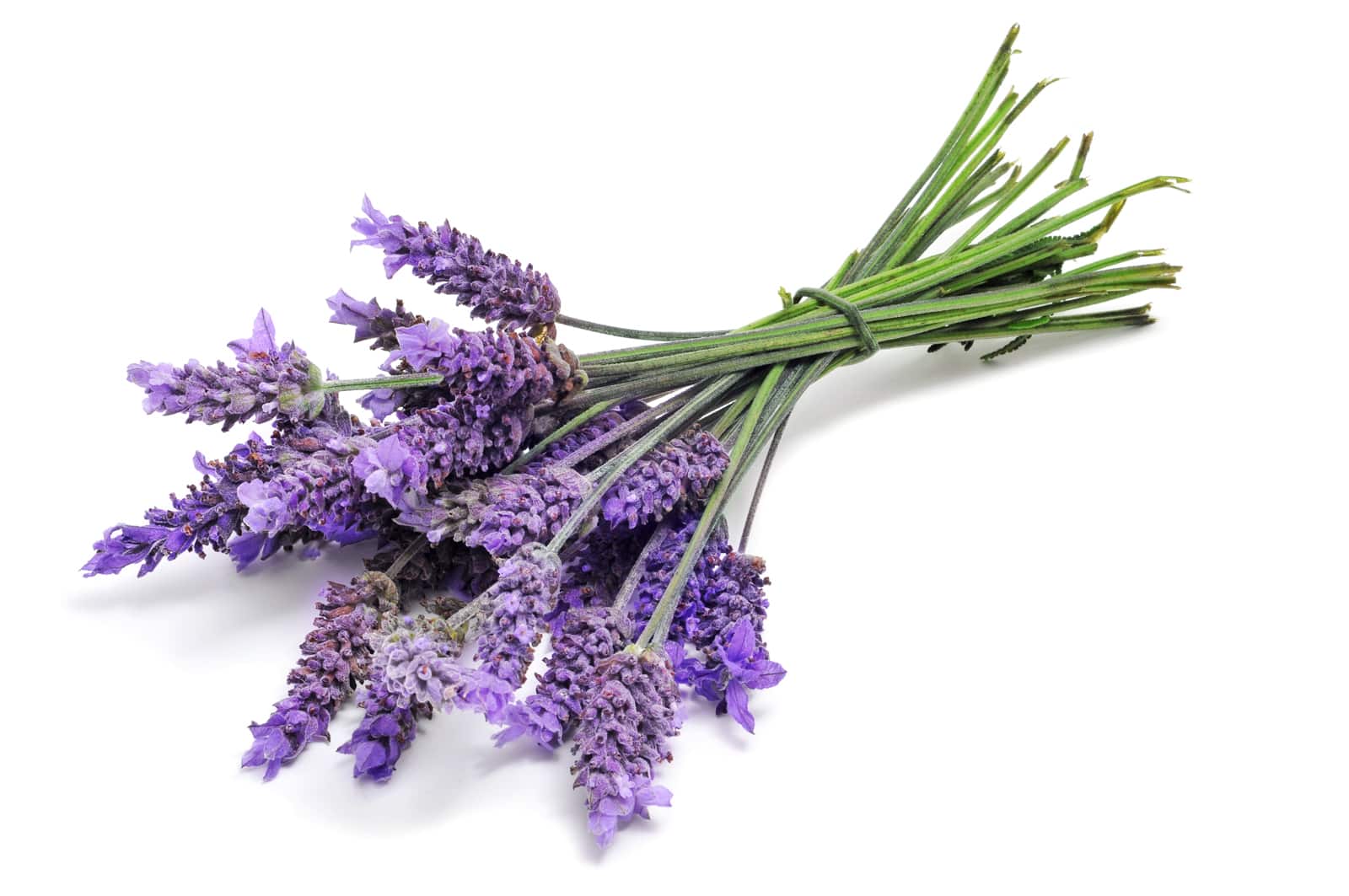 recette-parfum-floral
